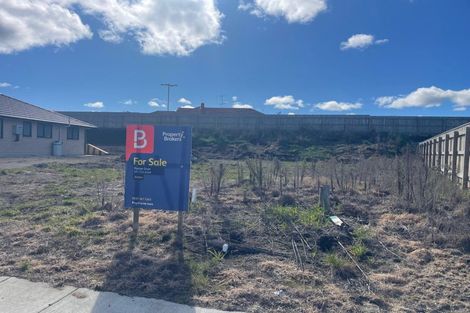 Photo of property in 52 Hereford Street, Springvale, Wanganui, 4501