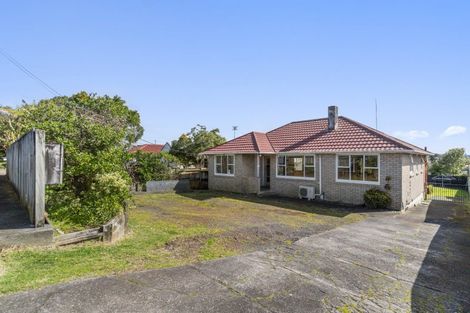 Photo of property in 101 Astley Avenue, New Lynn, Auckland, 0600