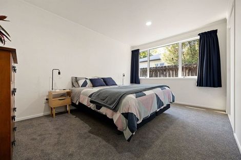 Photo of property in 6 Gillies Avenue, Claudelands, Hamilton, 3214