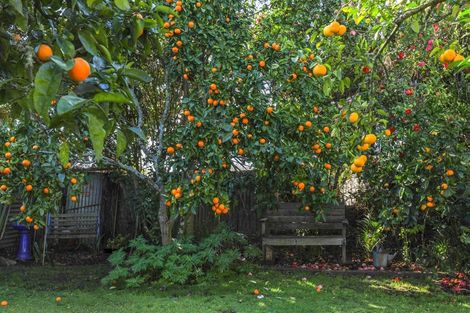 Photo of property in 30 Bailey Street, Huntly, 3700