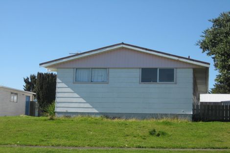 Photo of property in 45 Morgan Crescent, Levin, 5510