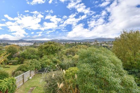 Photo of property in 33 Elliffe Place, Shiel Hill, Dunedin, 9013