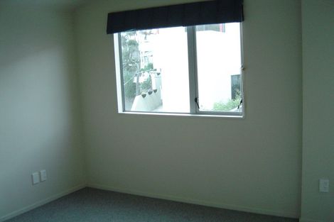 Photo of property in 11 Douglas Street, Mount Cook, Wellington, 6021