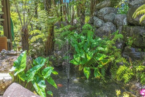 Photo of property in 503 Tapu Coroglen Road, Tapu, Thames, 3575