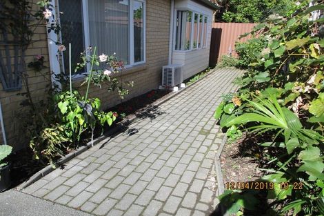 Photo of property in 26b Pooles Road, Greerton, Tauranga, 3112