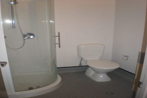 Photo of property in Dual Apartments, 106/142 Vivian Street, Te Aro, Wellington, 6011