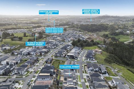 Photo of property in 14 Alluvial Street, Flat Bush, Auckland, 2019