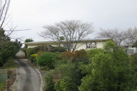 Photo of property in 43 Hazelwood Avenue, Dinsdale, Hamilton, 3204