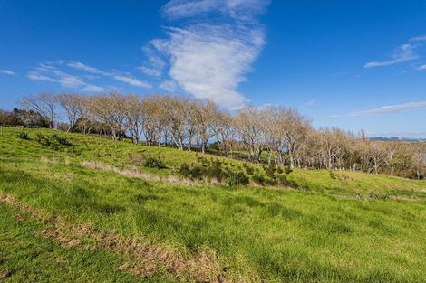 Photo of property in 228 Petley Road, Paparoa, 0571