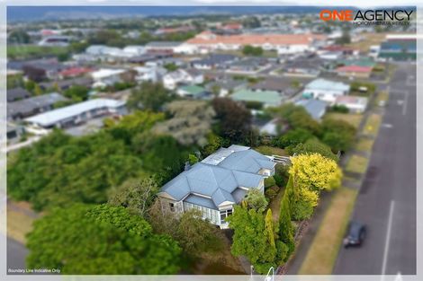 Photo of property in 79 Queen Street West, Levin, 5510