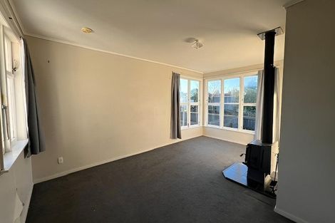 Photo of property in 17 Maire Street, Levin, 5510