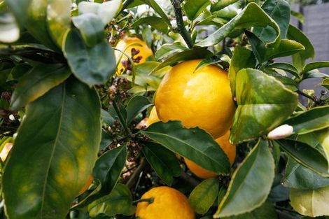 Photo of property in 11 Ahuru Street, Marton, 4710