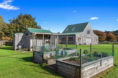 Photo of property in 763 White Pine Bush Road, White Pine Bush, Whakatane, 3191