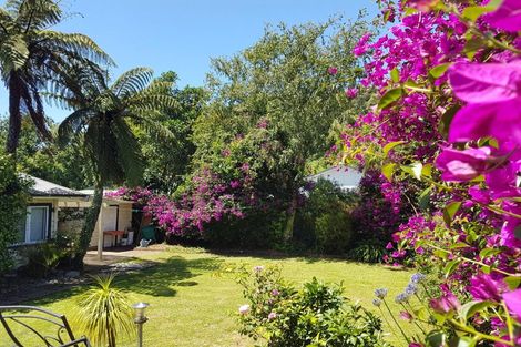 Photo of property in 39 Seymour Avenue, The Brook, Nelson, 7010