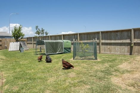 Photo of property in 7 Palliser Place, Mount Maunganui, 3116