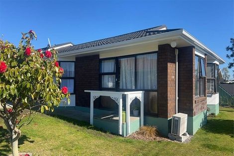 Photo of property in 17 Douglas Street, Levin, 5510