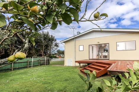 Photo of property in 13 Miro Street, New Lynn, Auckland, 0600