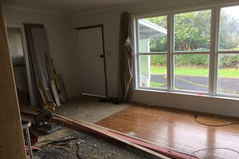 Photo of property in 52 Buscomb Avenue, Henderson, Auckland, 0610