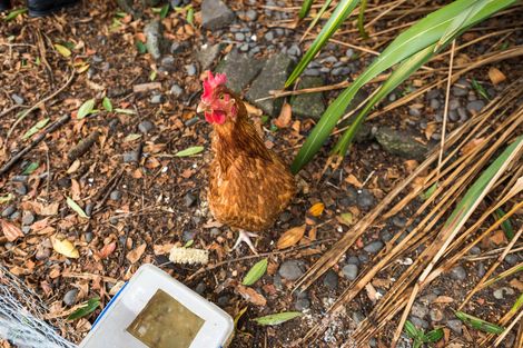 Photo of property in 71a Topaz Drive, Papamoa Beach, Papamoa, 3118