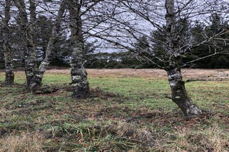 Photo of property in 1426 Waitaanga Road, Waitaanga, Ohura, 3980