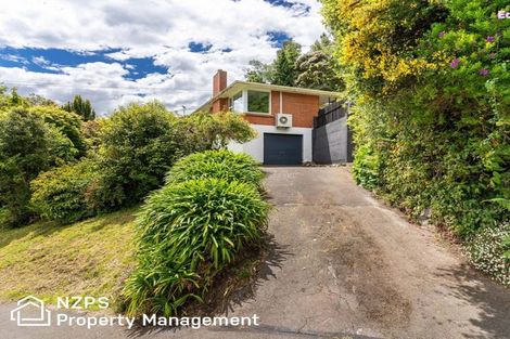 Photo of property in 41 Montague Street, North East Valley, Dunedin, 9010