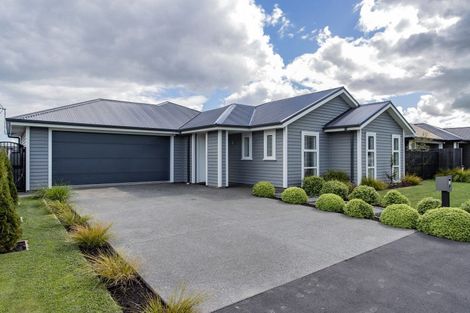 Photo of property in 104 Petries Road, Woodend, 7610