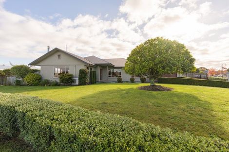 Photo of property in 21 Pukawa Place, Feilding, 4702
