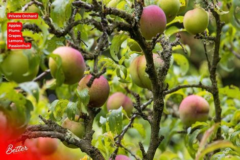 Photo of property in 10 Richmal Street, Waihi, 3610