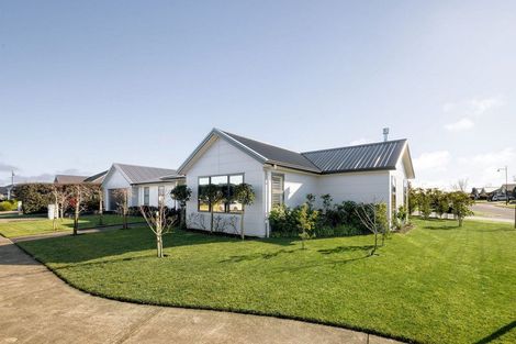 Photo of property in 20 William Paul Street, Cambridge, 3434