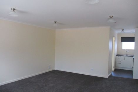 Photo of property in 4/299 Ruahine Street, Terrace End, Palmerston North, 4410
