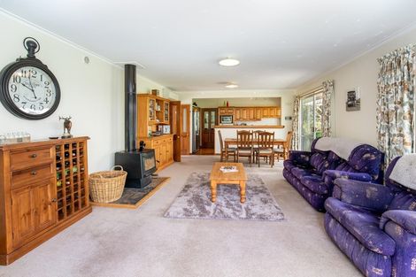 Photo of property in 52 Crawford Hills Road, Galloway, Alexandra, 9393