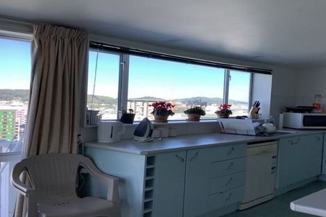 Photo of property in 223c The Terrace, Wellington Central, Wellington, 6011