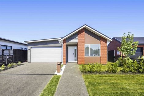 Photo of property in 19 Gosset Avenue, Chartwell, Hamilton, 3210