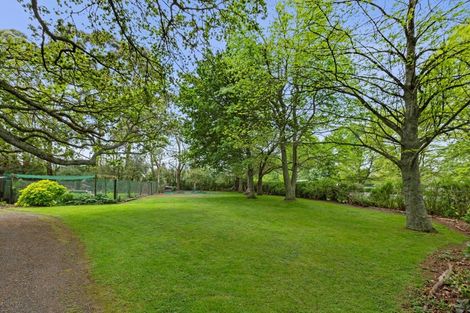 Photo of property in 253 Kaipaki Road, Ohaupo, 3881