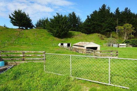 Photo of property in 170 Foxton Shannon Road, Foxton, 4893