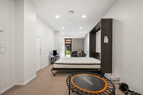 Photo of property in Aniva Terrace, 13 Arney Street, Newtown, Wellington, 6021