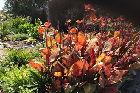 Photo of property in 33 Beach Street, Hokitika, 7810