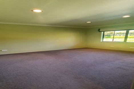 Photo of property in 21 Stella Place, Chartwell, Hamilton, 3210