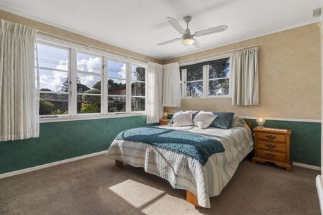 Photo of property in 22 Larsen Road, Panmure, Auckland, 1072