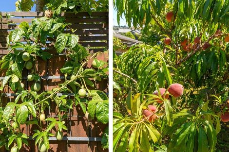 Photo of property in 17 Hairini Street, Hairini, Tauranga, 3112