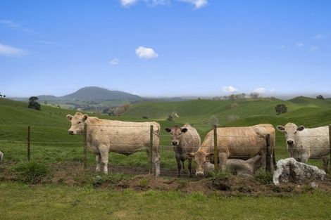 Photo of property in 333 Palmer Mill Road, Wairakei, Taupo, 3384