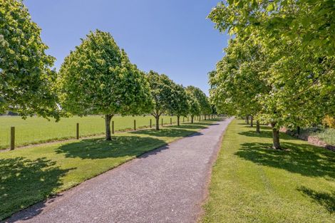 Photo of property in 61 Ryans Road, Yaldhurst, Christchurch, 8042