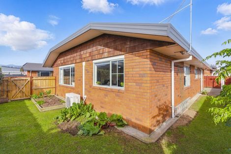 Photo of property in 3 Surrey Lane, Levin, 5510