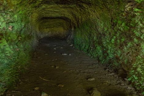 Photo of property in 15 Toots Drive, Kawakawa, 0282