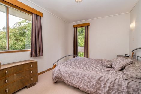 Photo of property in 41 Village Loop Road, Waipori Falls, Outram, 9073