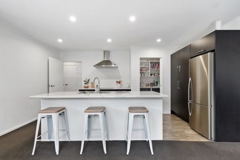 Photo of property in 253 Dixon Road, Fitzroy, Hamilton, 3206