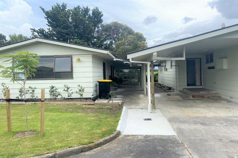 Photo of property in 159 Regent Street, Martinborough, 5711