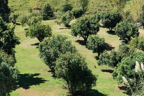 Photo of property in 233 Waipapa Block Road, Whakamarama, Tauranga, 3180