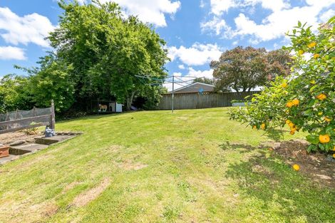 Photo of property in 34 Station Street, Tirau, 3410