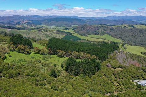 Photo of property in 425m Boat Harbour Road, Whenuakite, Whitianga, 3591